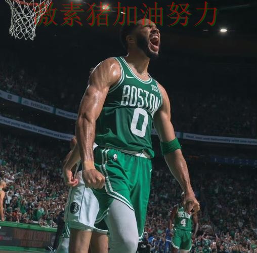 凯尔特人逆风翻盘球迷情绪彻底被点燃 凯尔特人逆风翻盘球迷情绪彻底被点燃